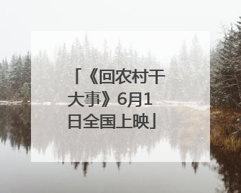 《回农村干大事》6月1日全国上映