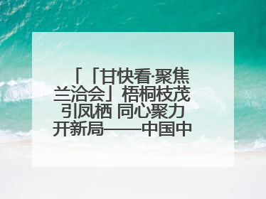 「甘快看·聚焦兰洽会」梧桐枝茂引凤栖 同心聚力开新局——中国中小企业投资洽谈会侧记