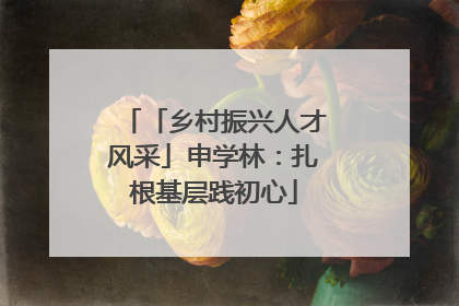 「乡村振兴人才风采」申学林：扎根基层践初心