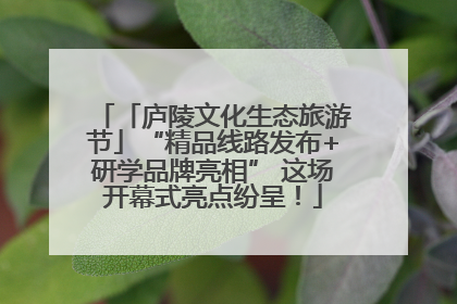 「庐陵文化生态旅游节」“精品线路发布+研学品牌亮相” 这场开幕式亮点纷呈！