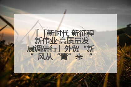 「新时代 新征程 新伟业·高质量发展调研行」外贸“新”风从“青”来 “双向奔赴”启新程