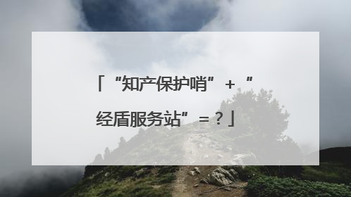 “知产保护哨”+“经盾服务站”=？