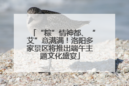 “粽”情神都、“艾”意满满！洛阳多家景区将推出端午主题文化盛宴