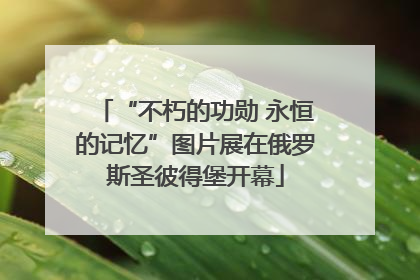 “不朽的功勋 永恒的记忆”图片展在俄罗斯圣彼得堡开幕
