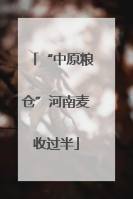 “中原粮仓”河南麦收过半