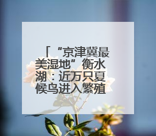 “京津冀最美湿地”衡水湖：近万只夏候鸟进入繁殖期