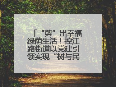 “剪”出幸福绿荫生活！控江路街道以党建引领实现“树与民”双向奔赴