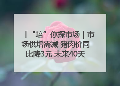 “培”你探市场｜市场供增需减 猪肉价同比降3元 未来40天便宜猪肉敞开吃