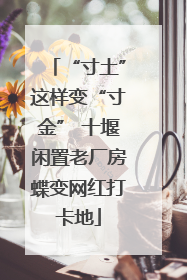 “寸土”这样变“寸金” 十堰闲置老厂房蝶变网红打卡地