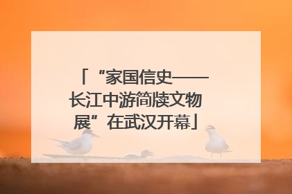 “家国信史——长江中游简牍文物展”在武汉开幕