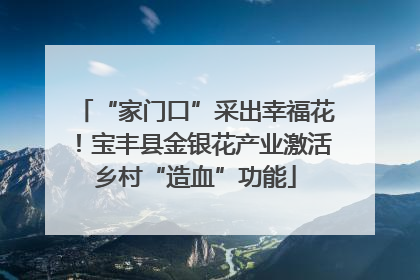 “家门口”采出幸福花！宝丰县金银花产业激活乡村“造血”功能