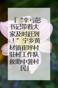 “幸亏彭书记带着大家及时赶到！”宁乡黄材镇崔坪村驻村工作队救助中暑村民