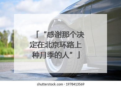 “感谢那个决定在北京环路上种月季的人”