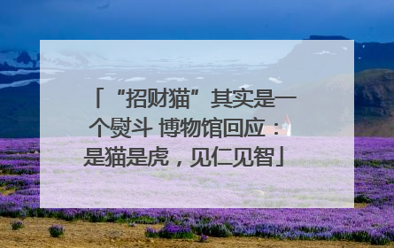 “招财猫”其实是一个熨斗 博物馆回应：是猫是虎，见仁见智