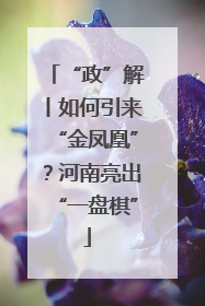 “政”解丨如何引来“金凤凰”？河南亮出“一盘棋”