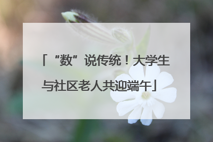 “数”说传统！大学生与社区老人共迎端午