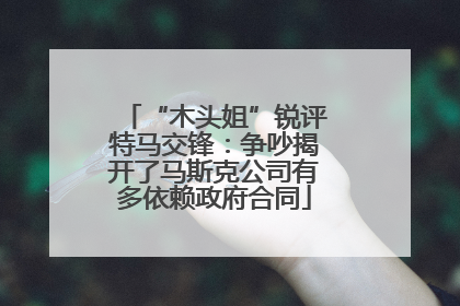 “木头姐”锐评特马交锋：争吵揭开了马斯克公司有多依赖政府合同