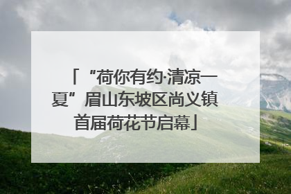 “荷你有约·清凉一夏”眉山东坡区尚义镇首届荷花节启幕