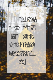 “过路站”变“生活圈” 湖北交投打造路域经济新生态