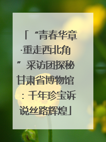 “青春华章·重走西北角”采访团探秘甘肃省博物馆：千年珍宝诉说丝路辉煌