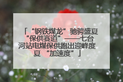 “钢铁煤龙”驰骋盛夏 “保供赛道”——七台河站电煤保供跑出迎峰度夏 “加速度”