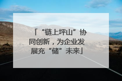 “链上坪山”协同创新，为企业发展充“储”未来