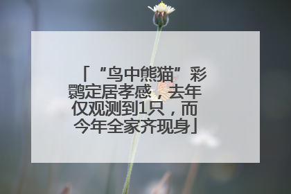“鸟中熊猫”彩鹮定居孝感，去年仅观测到1只，而今年全家齐现身