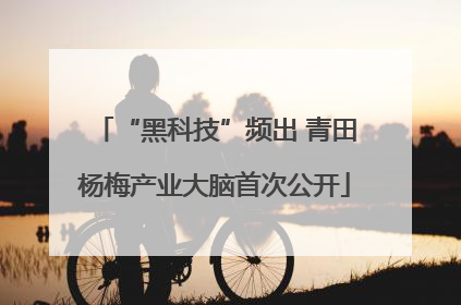 “黑科技”频出 青田杨梅产业大脑首次公开