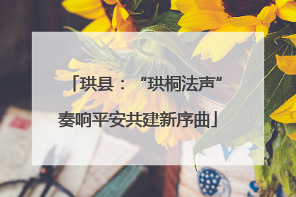 珙县：“珙桐法声”奏响平安共建新序曲