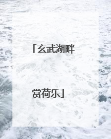 玄武湖畔赏荷乐