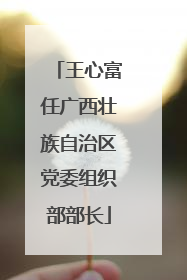 王心富任广西壮族自治区党委组织部部长
