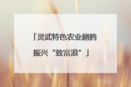 灵武特色农业翻腾振兴“致富浪”