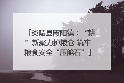 炎陵县霞阳镇：“耕”新聚力护粮仓 筑牢粮食安全“压舱石”