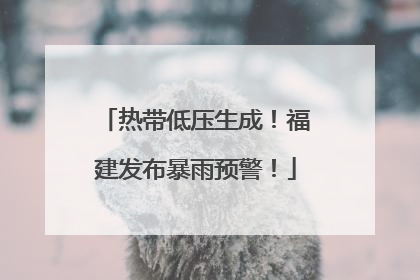 热带低压生成！福建发布暴雨预警！