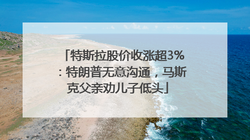 特斯拉股价收涨超3%：特朗普无意沟通，马斯克父亲劝儿子低头