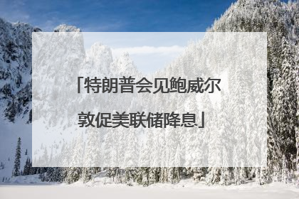 特朗普会见鲍威尔 敦促美联储降息