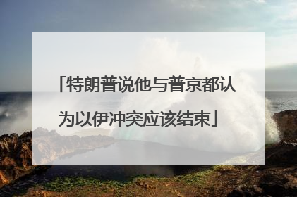 特朗普说他与普京都认为以伊冲突应该结束