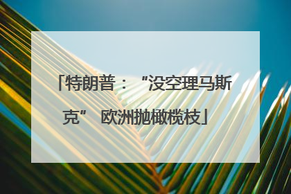 特朗普：“没空理马斯克” 欧洲抛橄榄枝