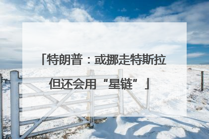 特朗普：或挪走特斯拉 但还会用“星链”