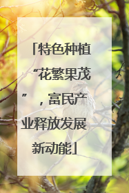 特色种植“花繁果茂”，富民产业释放发展新动能