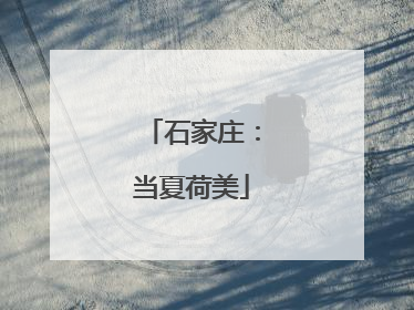 石家庄：当夏荷美