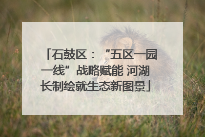 石鼓区：“五区一园一线”战略赋能 河湖长制绘就生态新图景
