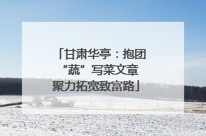 甘肃华亭：抱团“蔬”写菜文章 聚力拓宽致富路