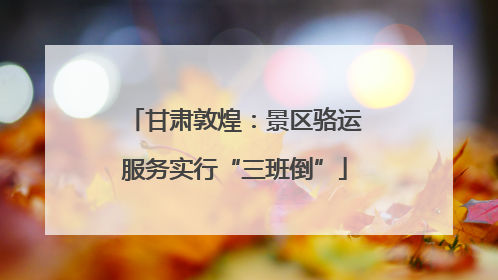 甘肃敦煌：景区骆运服务实行“三班倒”