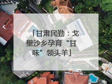 甘肃民勤：戈壁沙乡孕育“甘味”领头羊