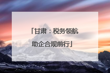 甘肃：税务领航 助企合规前行