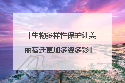 生物多样性保护让美丽宿迁更加多姿多彩