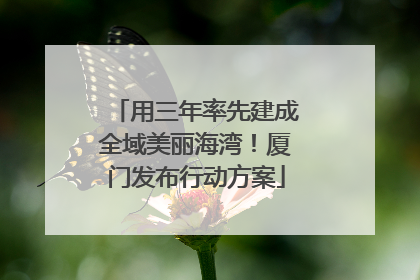 用三年率先建成全域美丽海湾！厦门发布行动方案