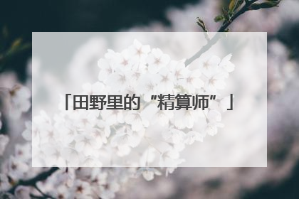 田野里的“精算师”