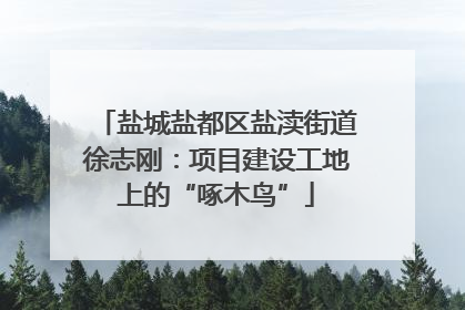 盐城盐都区盐渎街道徐志刚：项目建设工地上的“啄木鸟”